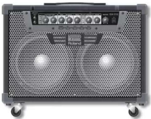 ROLAND GA112 - WARNING: THIS APPARATUS MUST BE EARTHED - 1