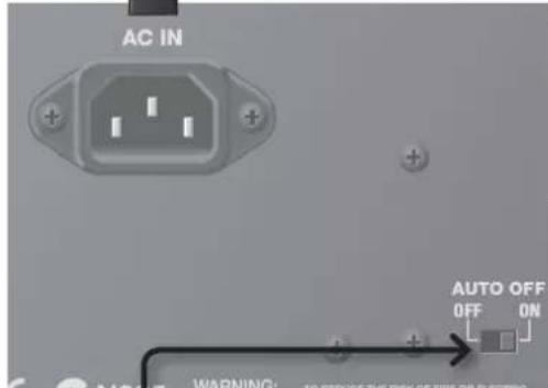 ROLAND GA112 - Buchse THRU/TUNER OUT - 3