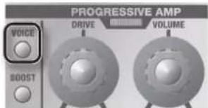 ROLAND GA112 - [VOICE]-knop - 1