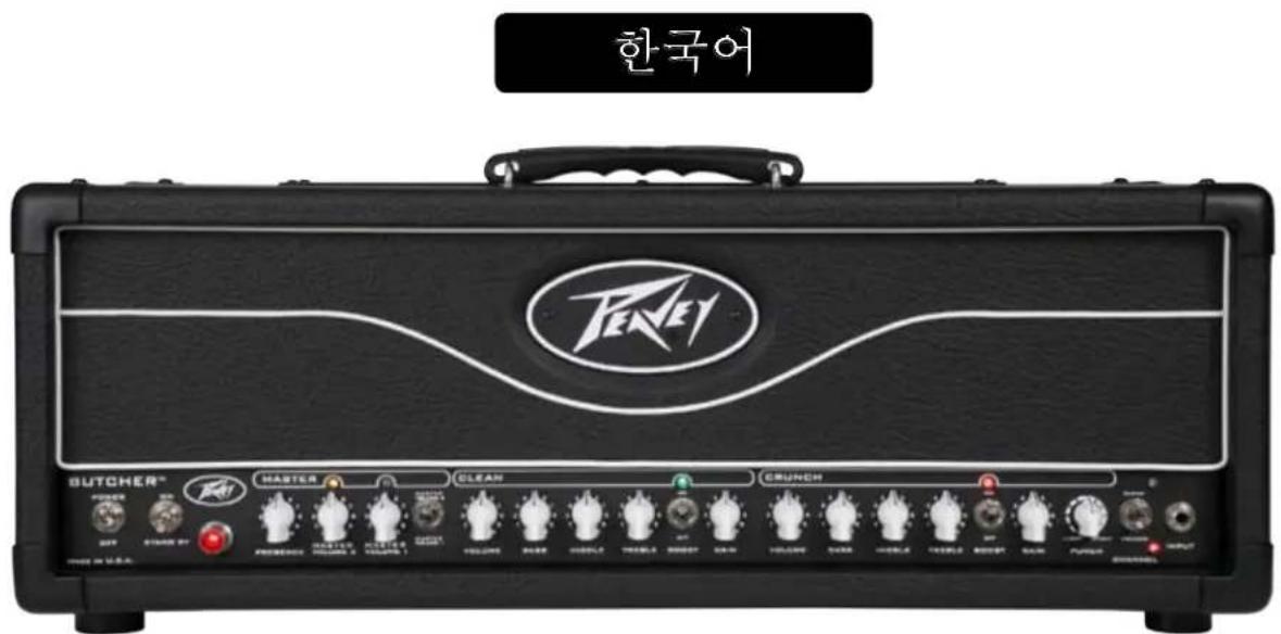 PEAVEY Butcher - CABINET IMPEDANCE スイッチ - 2