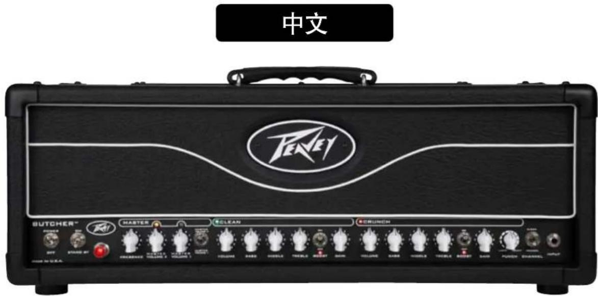 PEAVEY Butcher - INTERRUPTOR SELECTOR DE MASTER VOLUME - 1