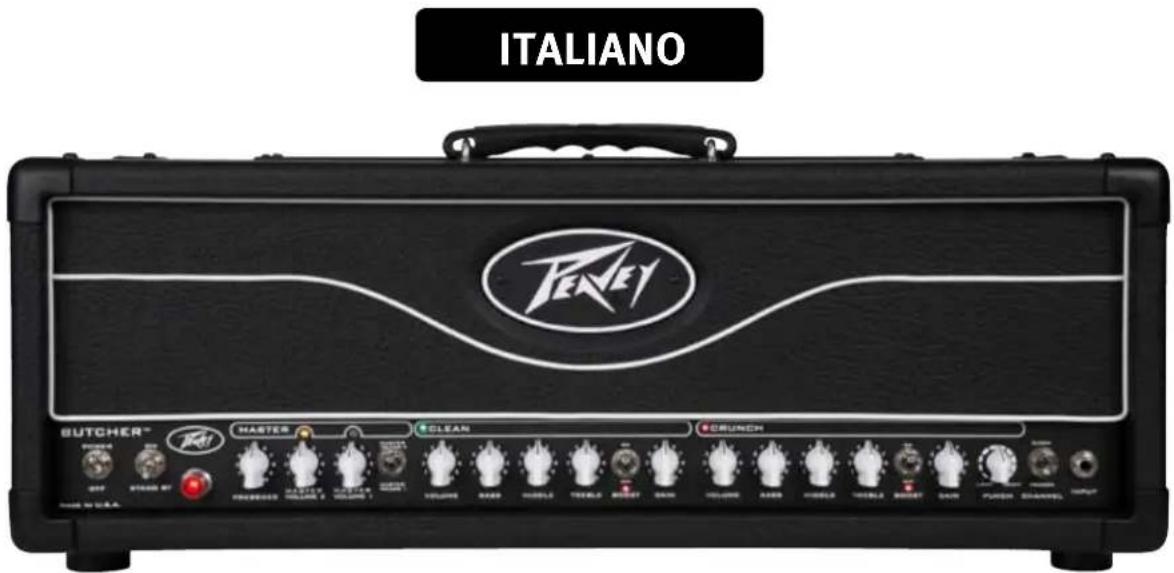 PEAVEY Butcher - MASTER VOLUME WÄHLSCHALTER - 1