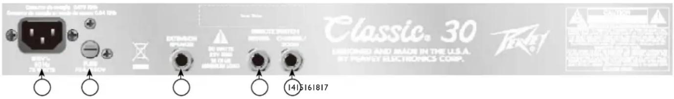 PEAVEY Classic 30 - INPUT - 1