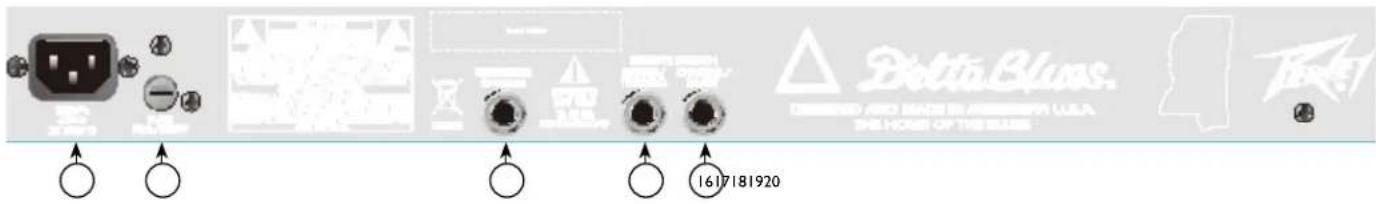 PEAVEY Classic 30 - INPUT - 1