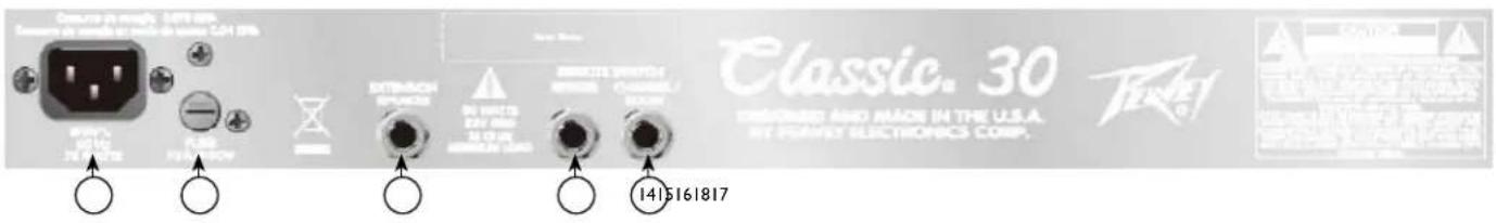 PEAVEY Classic 30 - INPUT - 1