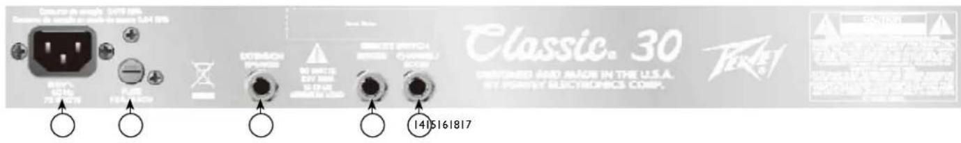 PEAVEY Classic 30 - INPUT - 1