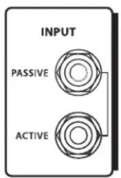 Hartke HA5500 - Set-Up ed Uso del Model 3500/5500 - 2