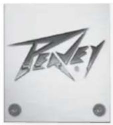 PEAVEY Vypyr VIP - VIP 3-STRÖMFORSÖRJNING - 1