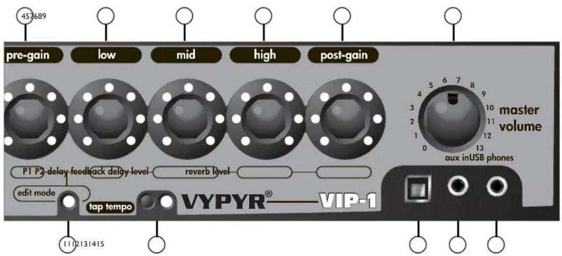 PEAVEY Vypyr VIP - 日本語 - 1