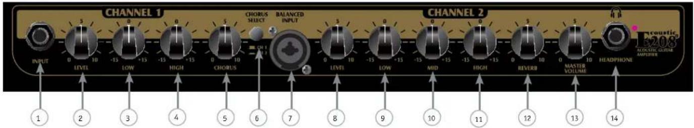 PEAVEY Ecoustic E208 - 기능: - 1