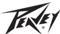 PEAVEY Ecoustic E208 - NOTES - 1
