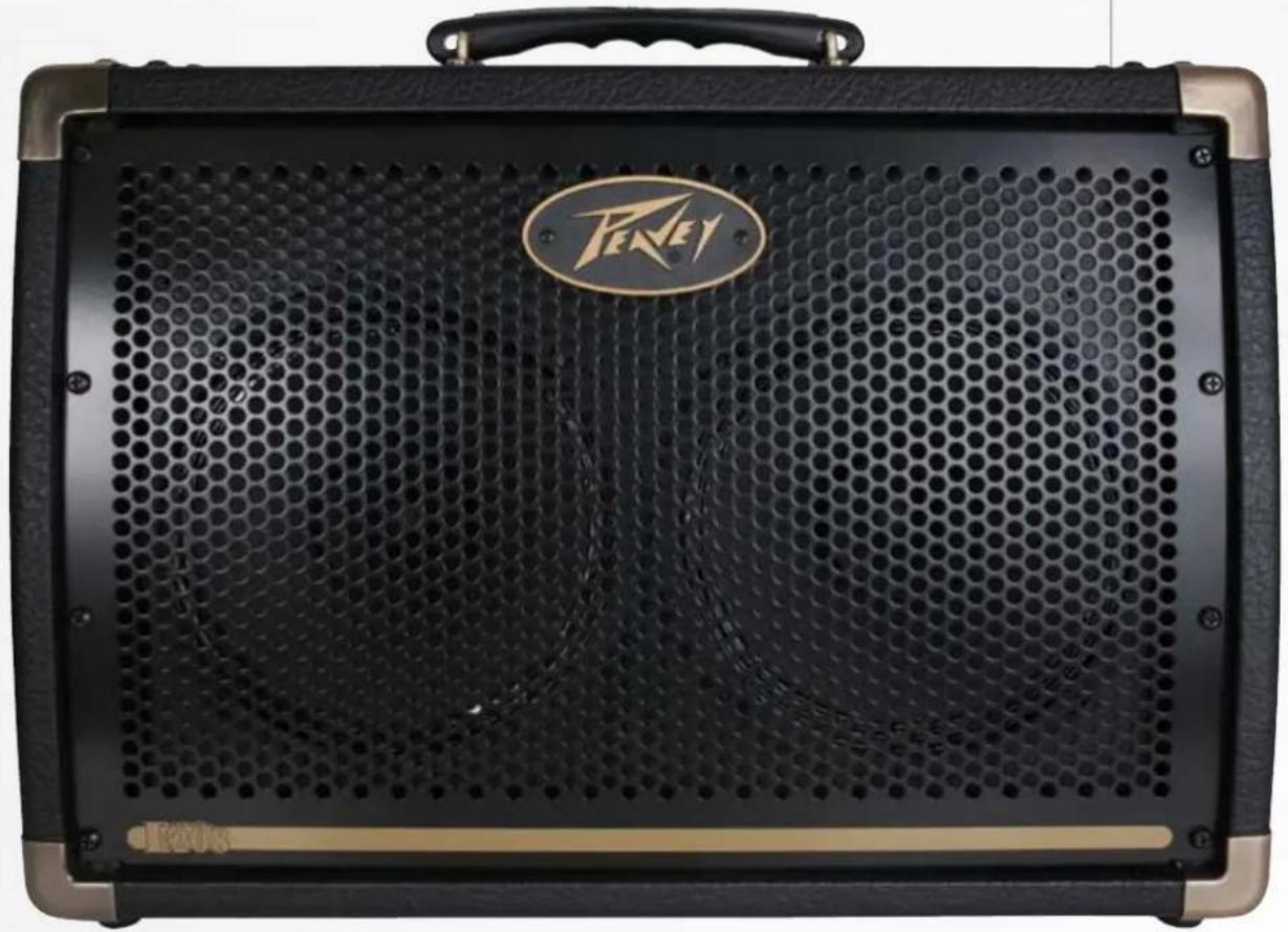 PEAVEY Ecoustic E208 - E208 Acoustic Guitar Amplifier - 1