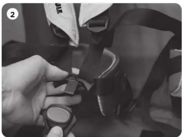 THULE Chariot CX 2 - Remarque - 2