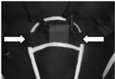 Topmark 2 Combi T8030 - USING 5-POINT SAFETYBELT - 1