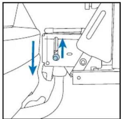 Twinny Load BikElift 2010 - Carrier type: - 1