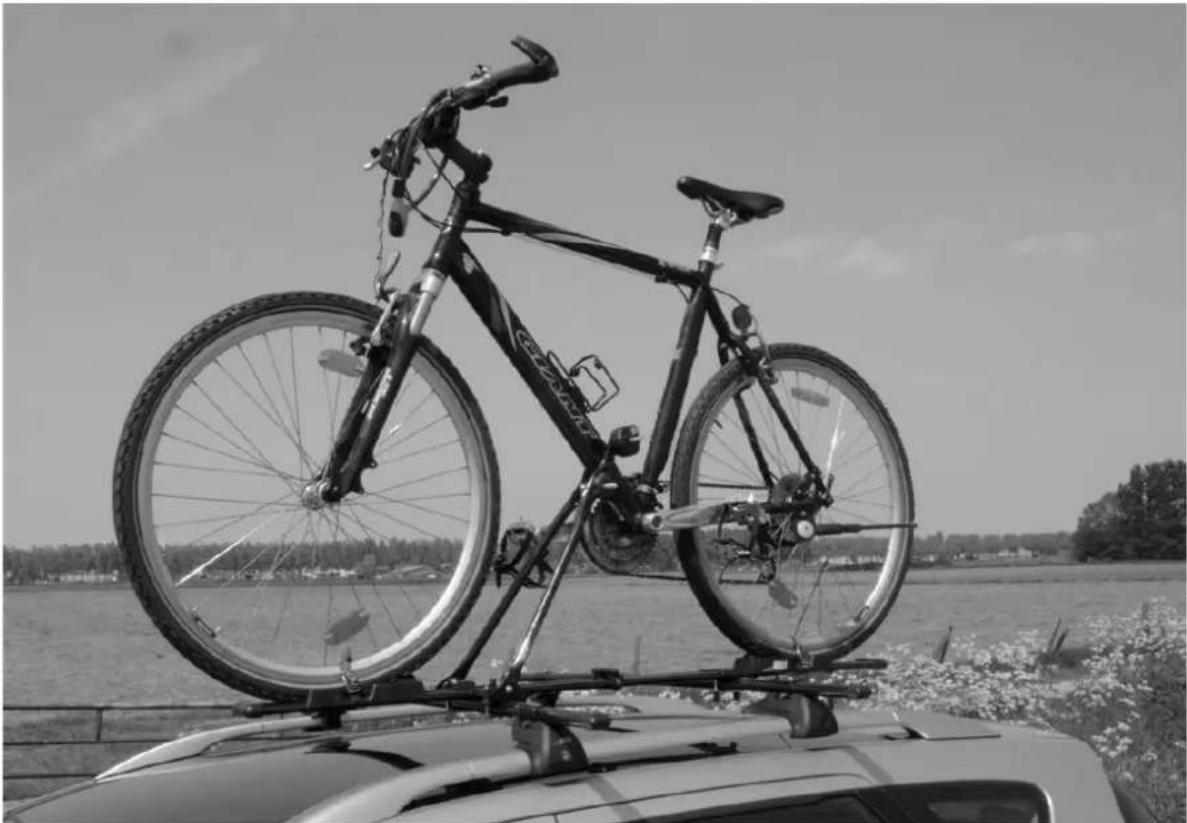 Pro-User Superbike 51486 - SUPER-BIKE - 1