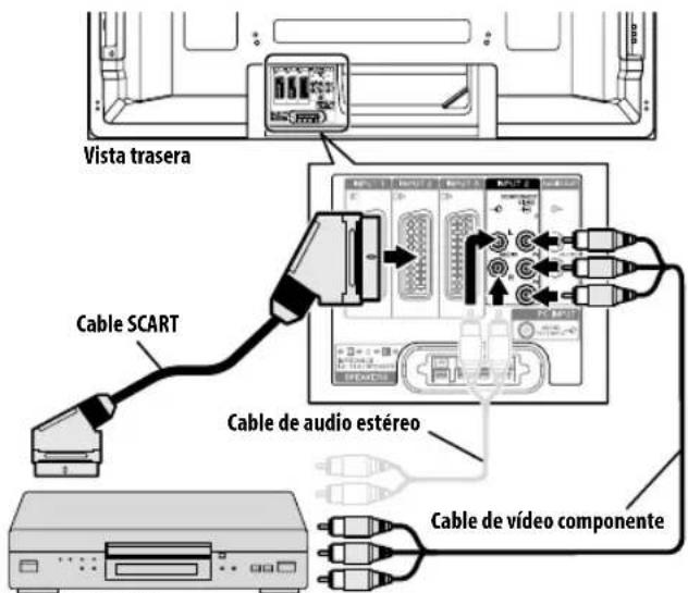 PIONEER PDP5080XA - Conexión de un reproductor DVD - 1