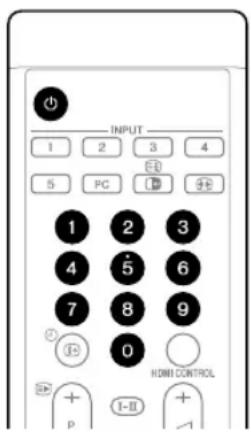PIONEER PDP5080XA - Einschalten - 1