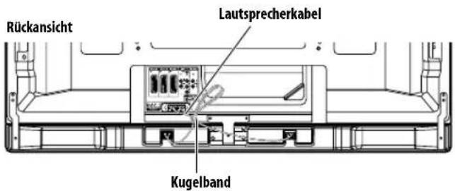 PIONEER PDP5080XA - Verlegen von Kabeln - 1