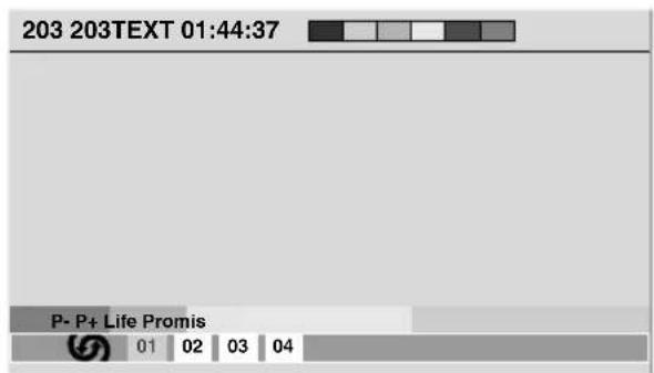 PIONEER PDP4280XA - Visualización de págrinas secundarias - 1