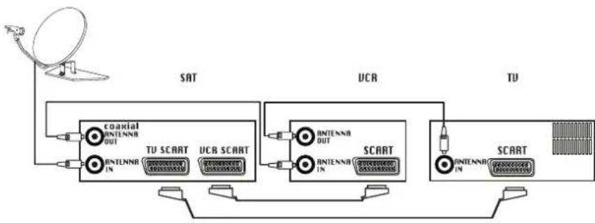 Magnum TV 5553RF - Satelliten- und Videogeräte - 1