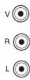 Magnum TV 5553RF - Raccord des appareils via des prises audio / video - 1