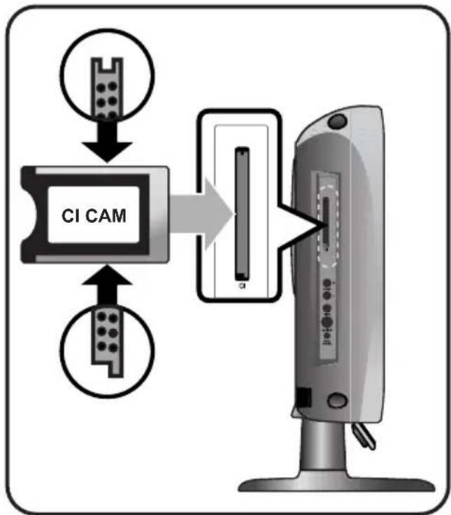 SALORA LCD2237TN - Connexion des fiches CI - 1