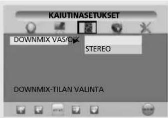 SALORA LCD2237TN - Custom Setup (muut asetukset) - 1
