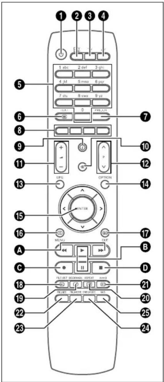 SALORA LCD2237TN - Rear Panel Jacks - 3