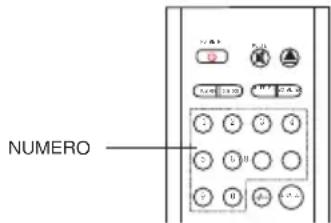 SALORA LCD2211TNDVX - SELECTIONNER LA PISTE A LIRE DIRECTEMENT AVEC LES TOUCHES NUMEROTEEES - 2