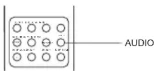 SALORA LCD2211TNDVX - SELECTION DU LANGUAGE / AUDIO - 4