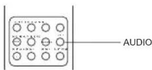 SALORA LCD2211TNDVX - TAAL / AUDIO SELECTEREN - 4