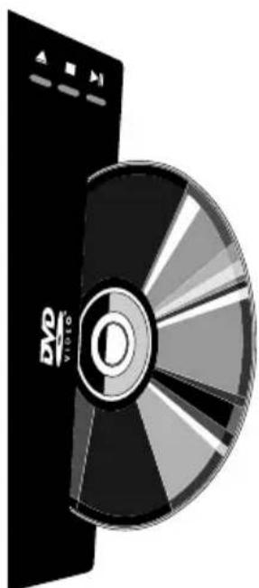 SALORA LCD2211TNDVX - PANNEAU DROIT - 2