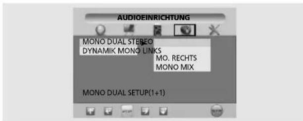 SALORA LCD2037TNDVX - BENUTZERDEFINIERTE EINSTELLUNG - 2