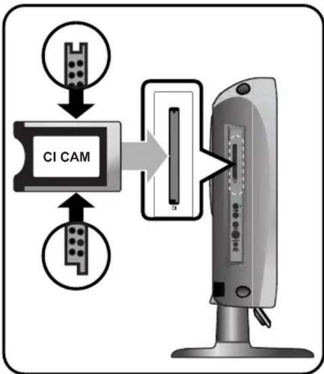 SALORA LCD2037TNDVX - Collegamento Cl - 1