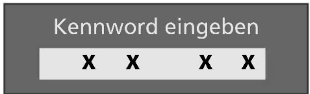 SALORA LCD2037TNDVX - So sperren Sie einen Kanal - 1