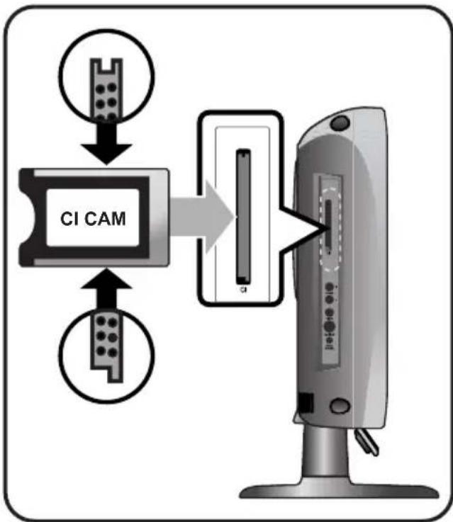 SALORA LCD2037TNDVX - Connexion des fiches CI - 1