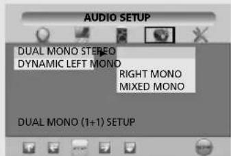 SALORA LCD2037TNDVX - DUAL MONO - 1