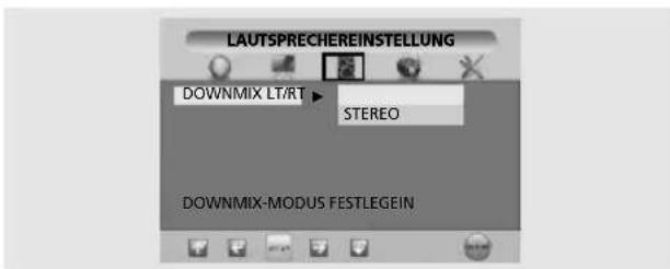 SALORA LCD2037TNDVX - BENUTZERDEFINIERTE EINSTELLUNG - 1