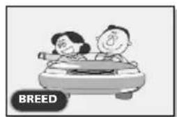 SALORA LCD2037TNDVX - Menu schermformaat - 1