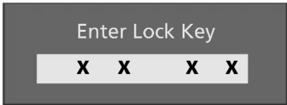 SALORA LCD2037TNDVX - To Lock a channel - 1