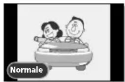 SALORA LCD2037TNDVX - Menu per le impostazioni delle dimensioni dello schermo - 2