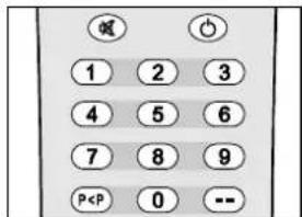 DUAL DTV 21504 - Sekunden. - 1