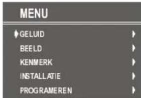 DUAL DTV 21504 - Wisselen tussen zenders - 2
