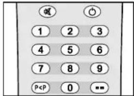 DUAL DTV 21504 - Wisselen tussen zenders - 1