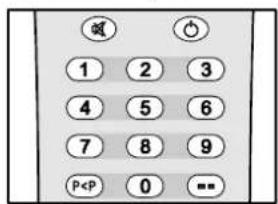 DUAL DTV 21504 - Basculement entre deux programmes - 1