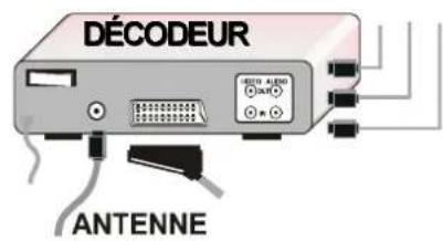 DUAL DTFT 301 - Connexion de matériel péripérisque - 5
