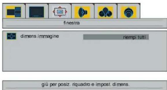 DUAL DTFT 301 - Menu finestra - 1