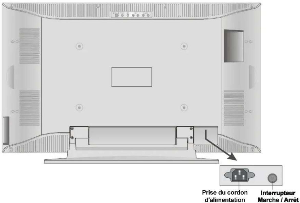 DUAL DTFT 301 - FACE ARRIERE - 1