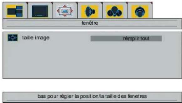 DUAL DTFT 301 - Menu "fenêtre" (interruption d'images) - 1